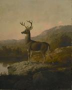 unknow artist, Deer